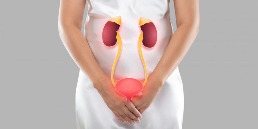Female cystitis is an inflammation that occurs in the bladder tissues